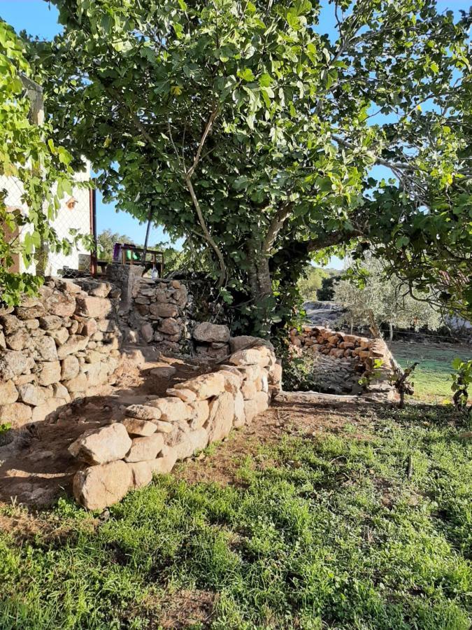 Magic Nature Lodge Marvão Екстериор снимка