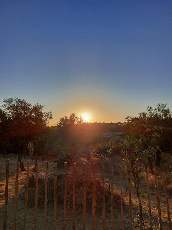 Magic Nature Lodge Marvão Екстериор снимка
