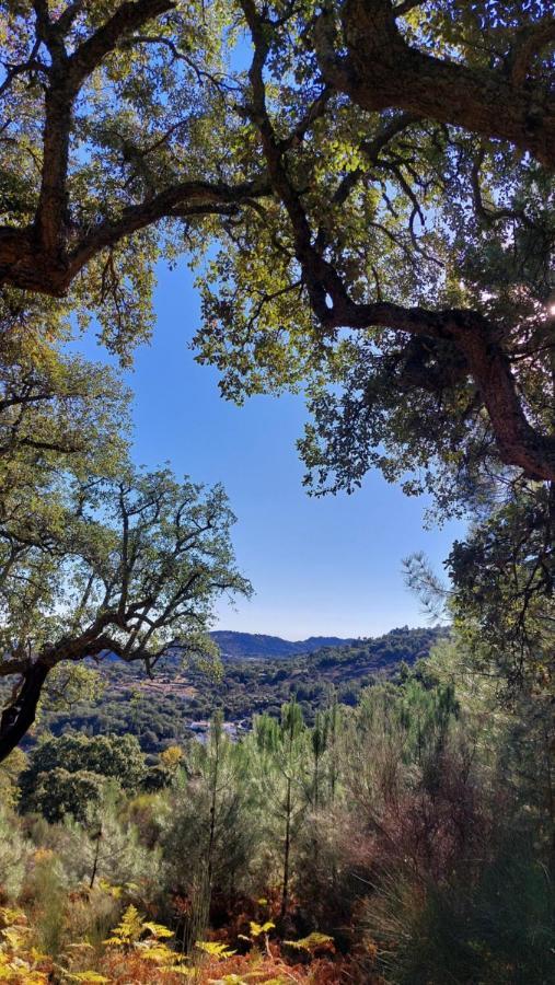 Magic Nature Lodge Marvão Екстериор снимка